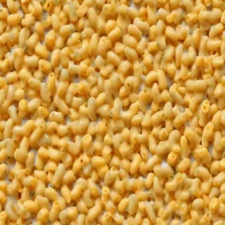 macaroni and cheese png