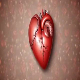 real heart wallpaper