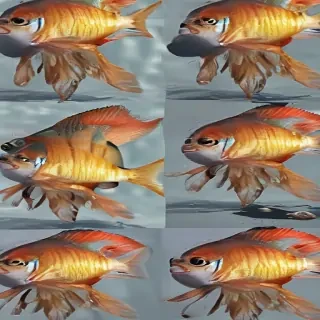 png fish