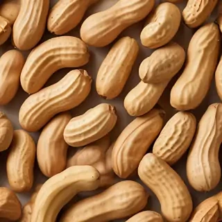 peanut png