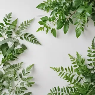 white and greenery background