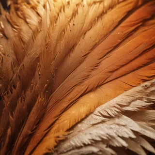 feather background