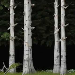 pine trees png