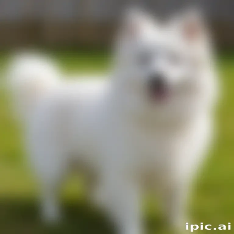 japanese spitz dog breed