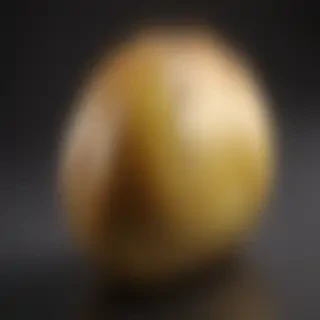 potato transparent