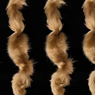 fur elise