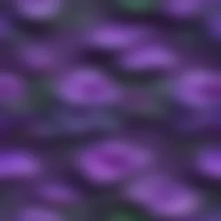 cute purple background