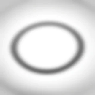 black circle png