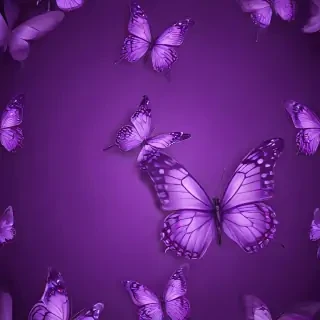 butterfly wallpaper purple