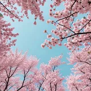 spring aesthetic wallpaper