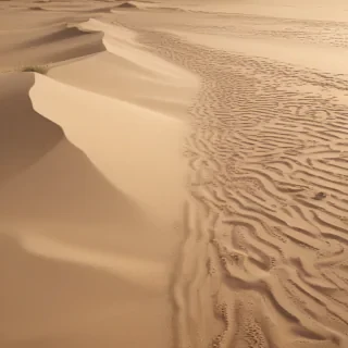 cartoon sand