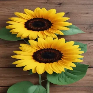 iphone cute sunflower wallpaper