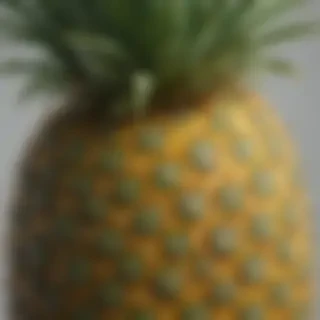 pineapple png