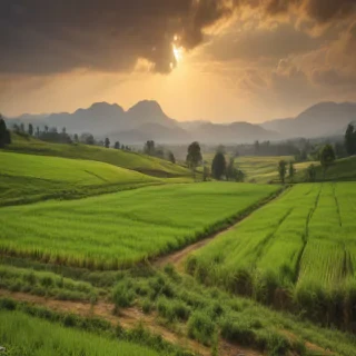 farmland png