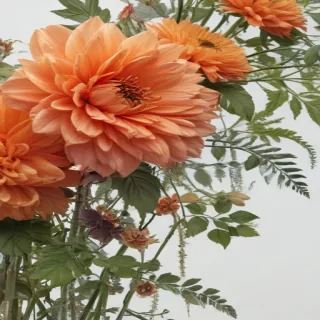 transparent flower border