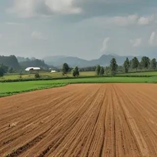 farmland png