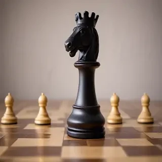 rook chess