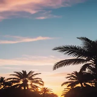 summer iphone backgrounds