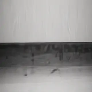monotone