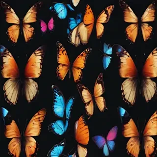 butterflies transparent background