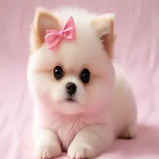 cute pink images