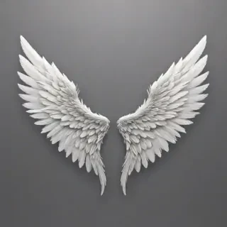 angel wings transparent background