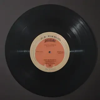 vynil record png