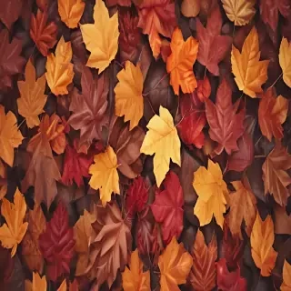autumn leaves iphone wallpaper