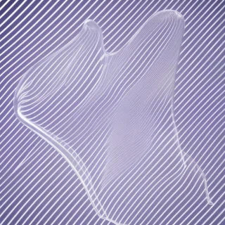 transparent aesthetic png
