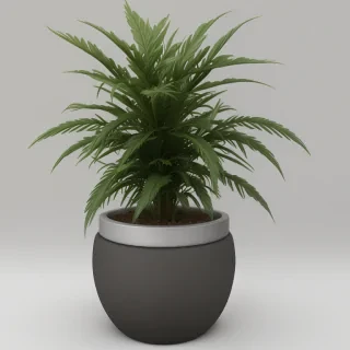 pot png
