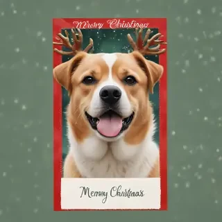 christmas card png