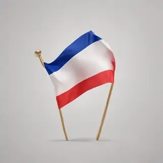 french flag png