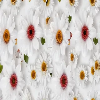 flowers with white background