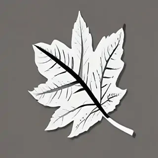 clipart of leaf black and white