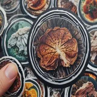 sticker images