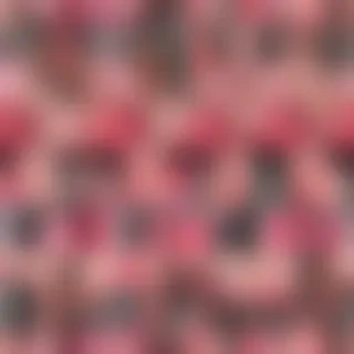 makeup background