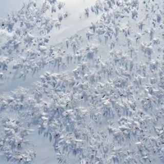 snow transparent