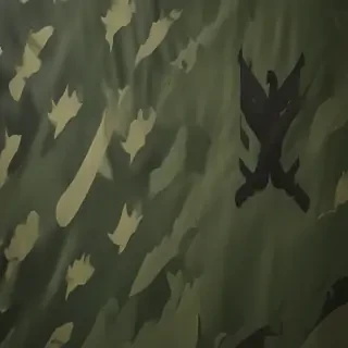 army background
