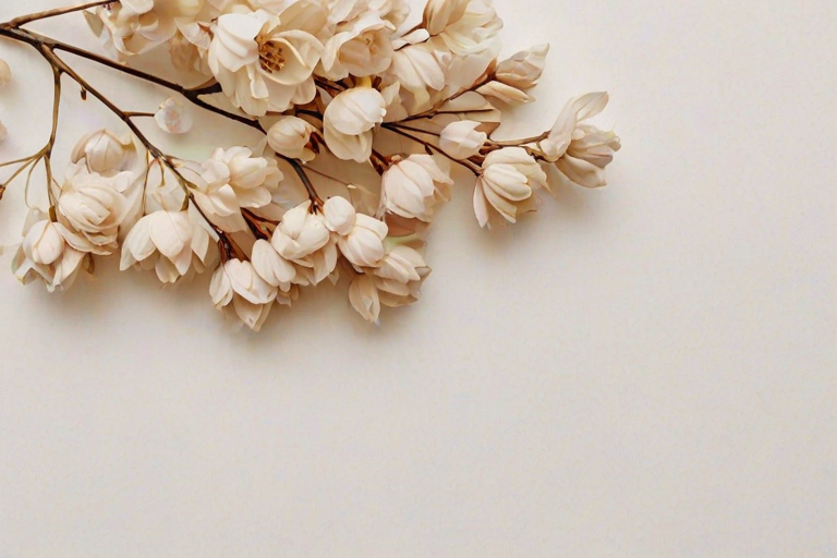 aesthetic neutral wallpaper