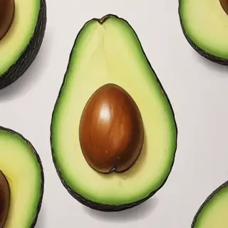 avocado drawing