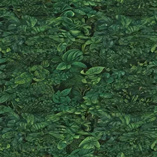plant backgrounds