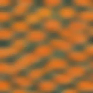 pretty orange backgrounds
