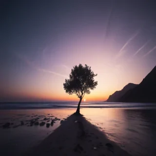 minimal aesthetic desktop wallpaper
