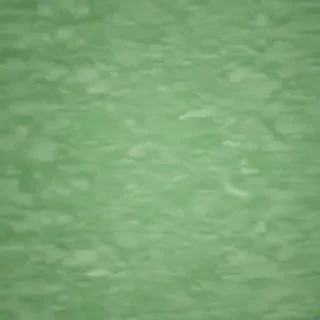 green and white backgrounds