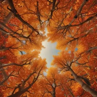 autumn wallpaper phone