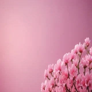background pink cute
