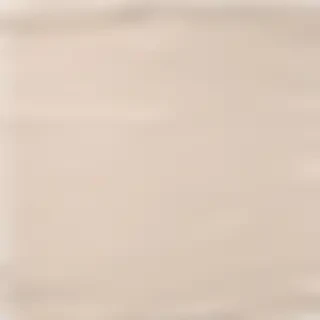 aesthetic ripped paper png