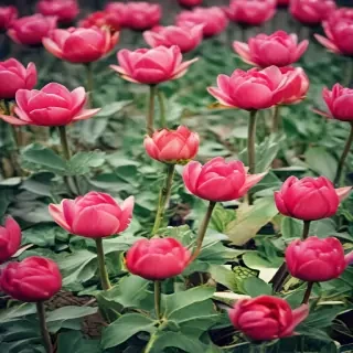nice pictures for wallpaper