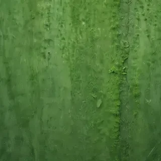 green textures