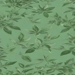 sage green wallpaper aesthetic